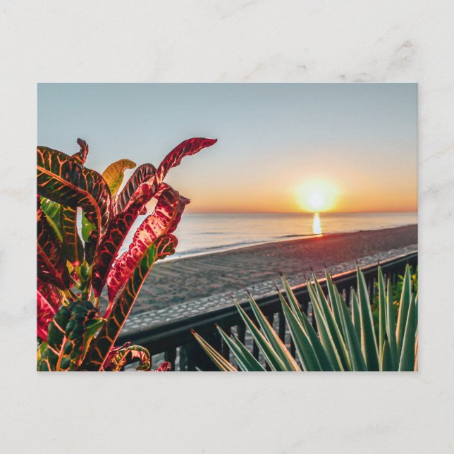 Carte Postale Soleil (Devant)