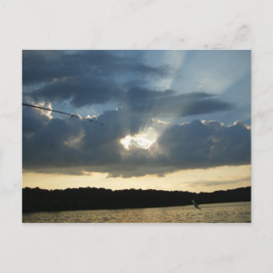 Carte Postale Soleil avec poisson