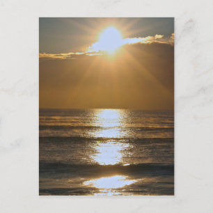 Carte Postale Soleil de Palm Beach