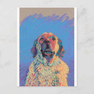 Carte Postale Soleil d'été