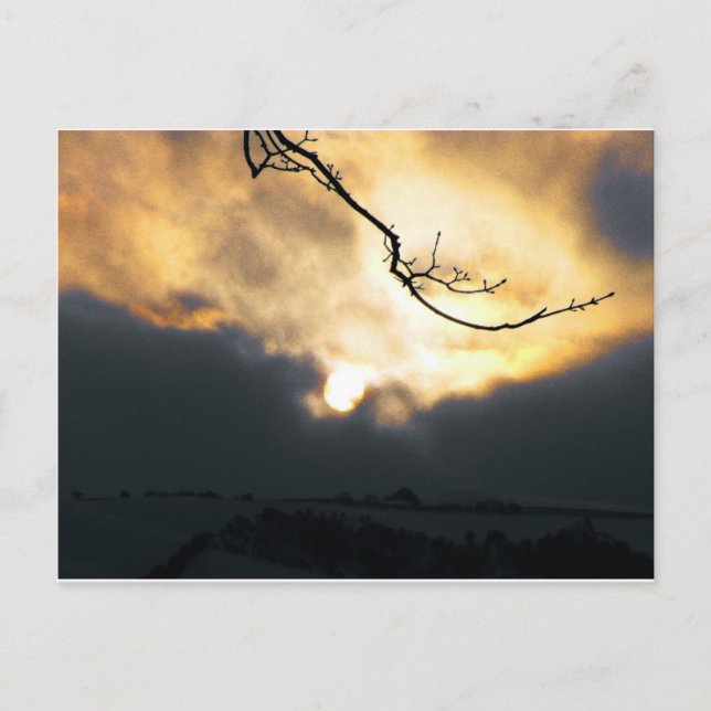 Carte Postale Soleil d'hiver (Devant)