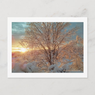 Carte Postale Soleil d'hiver