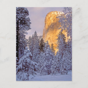 Carte Postale Soleil d'hiver sur El Capitan à Yosemite