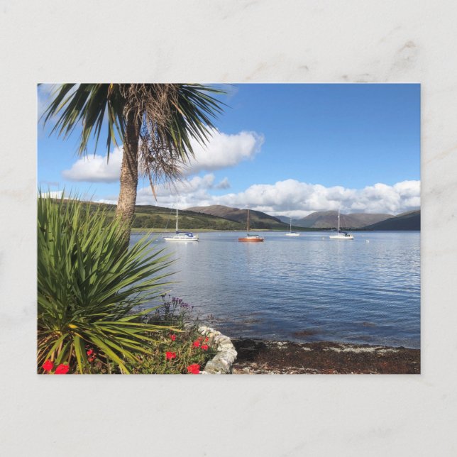 Carte Postale Soleil en Ecosse. Baie avec palmiers et yachts (Devant)