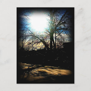 Carte Postale Soleil hivernal