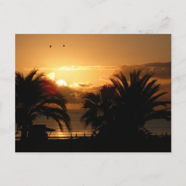 Carte Postale Soleil levant des îles des Canaries tropicales RIU (Devant)