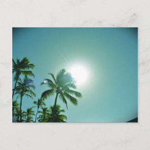 Carte Postale Soleil tropical