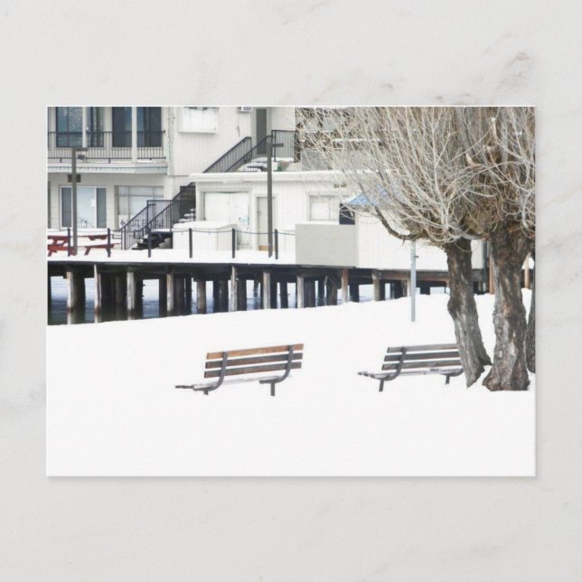 Carte Postale Solitude (Devant)