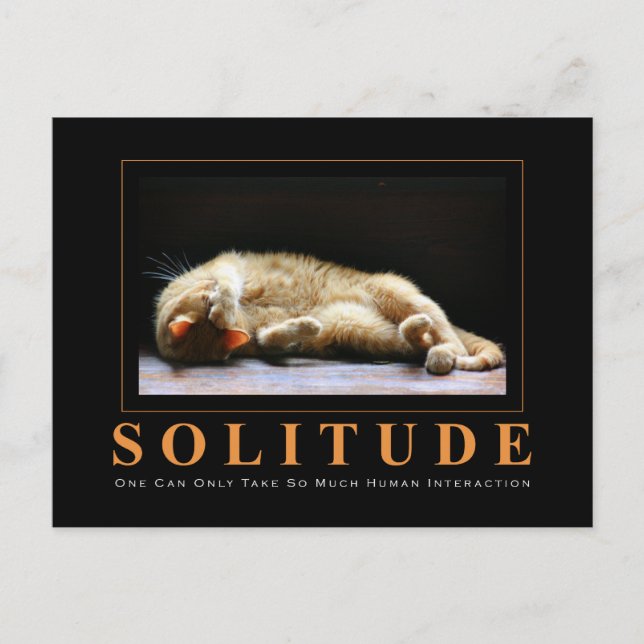 Carte Postale SOLITUDE Photographie Chat Anti-Motivationnel (Devant)