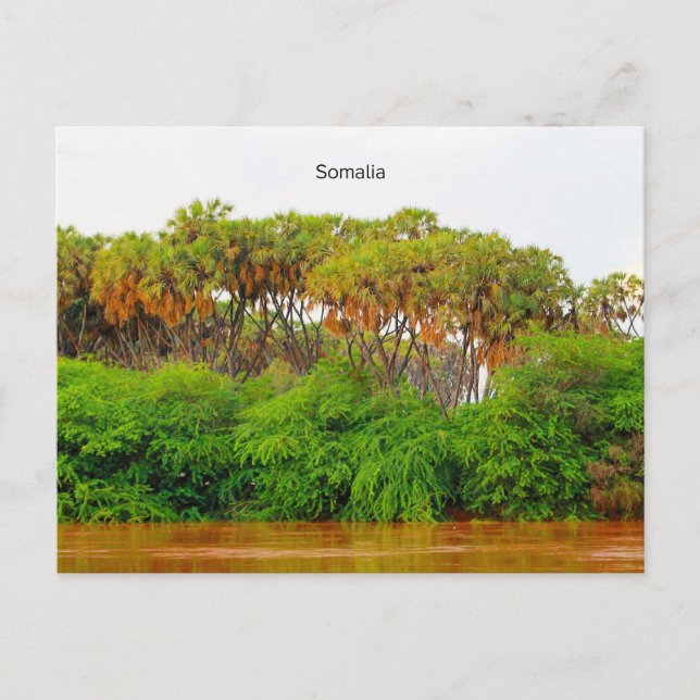 Carte Postale Somalie, photo de paysage (Devant)