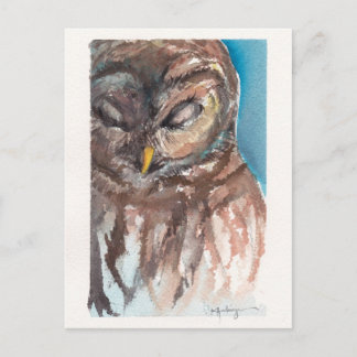 carte postale somnolente de hibou