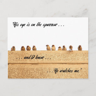Carte Postale Son Oeil est sur le Bruant. . .