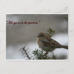 Carte Postale "Son oeil est sur le moineau"