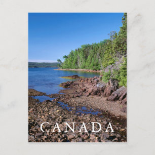 Carte Postale Son vertical de Newman
