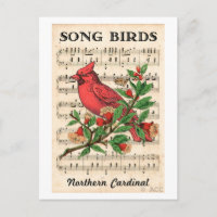 Song Birds Cardinal du Nord
