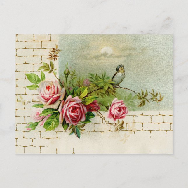 Carte postale Songbird et Rose (Devant)