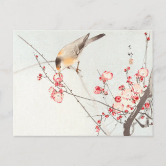 Carte Postale Songbird sur la branche en fleurs - Ohara Koson -