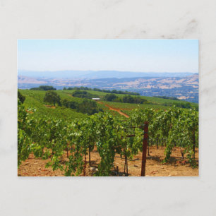 Carte Postale Sonoma