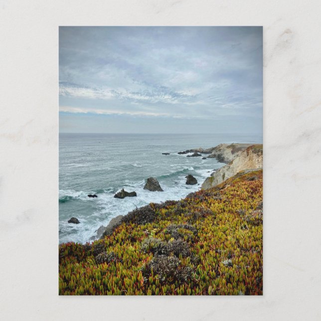 Carte Postale Sonoma Coast State Park, Californie (Devant)