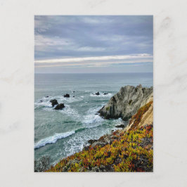 Carte Postale Sonoma Coast State Park, Californie