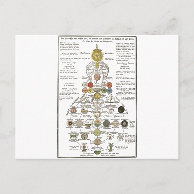 Carte Postale Sophia - transformer l'esprit (Devant)