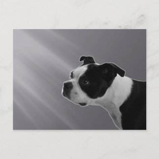 Carte postale Sophie