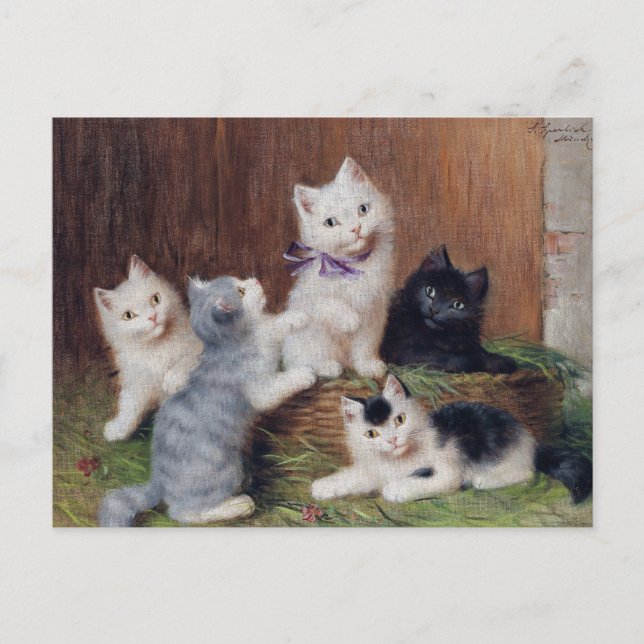 Carte Postale Sophie vintage Sperlich Kittens (Devant)