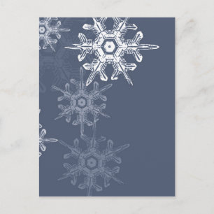 Carte Postale Sophistiqué flocons de neige bleu/gris
