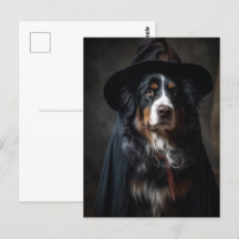 Sorcière de chien de montagne bernois mignonne