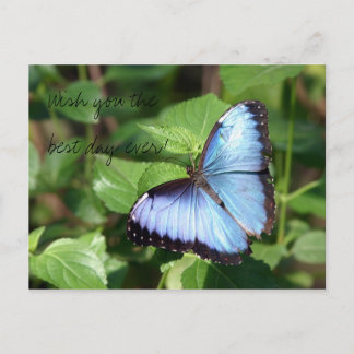 Carte Postale Souhaitez-vous le meilleur jour jamais !