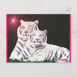 CARTE POSTALE SOUL MATES