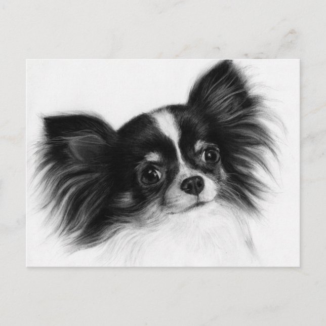 Carte Postale Soul Sage - Peint à la main Portrait principal Chi (Devant)