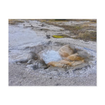 Source Shell à Yellowstone National Park, Wyoming