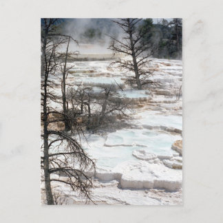 Carte Postale Sources thermales en Nouvelle-Zélande