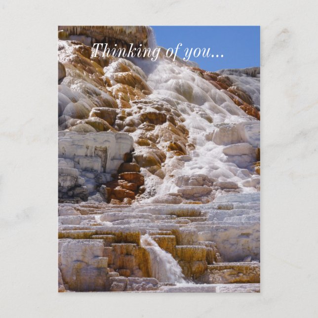 Carte Postale Sources thermales Mammoth (Devant)