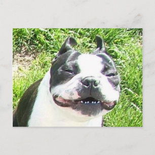 Carte Postale Sourire