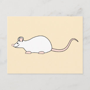 Carte Postale Souris blanche pour animaux domestiques.