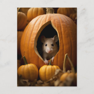 Carte Postale Souris citrouille