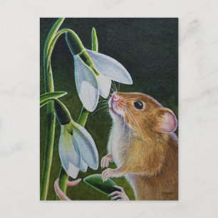 Carte Postale Souris des moissons sentant les perce-neige, aquar