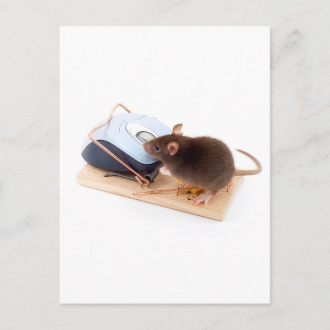 Carte Postale Souris intelligente (Devant)
