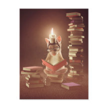 Carte postale : "Souris lisant un livre "