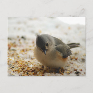 Carte Postale Souris Tufted adorable
