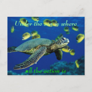 Carte Postale Sous la mer - Tortue de mer