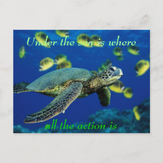 Carte Postale Sous la mer - Tortue de mer