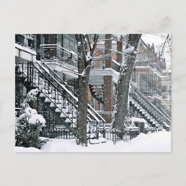 Carte Postale Sous la neijge (Devant)