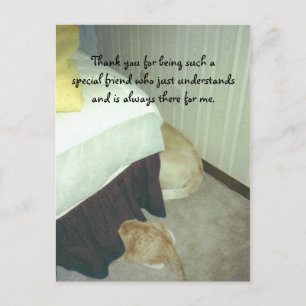 Carte Postale Sous le lit