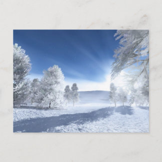 Carte Postale Sous le soleil d'hiver