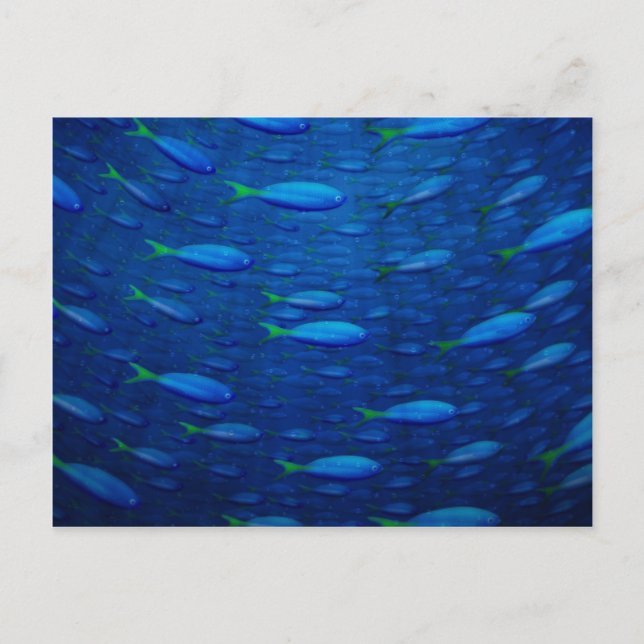 Carte Postale Sous-marin 4 (Devant)