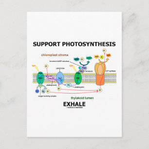 Carte Postale Soutenir la photosynthèse expire (Environnemental)