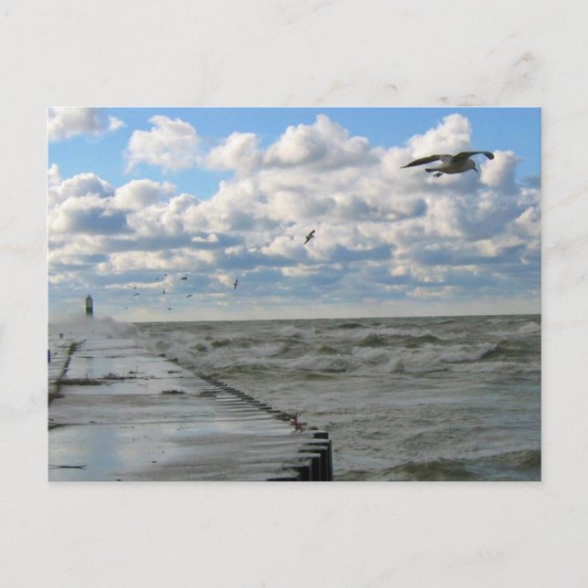 Carte postale South Haven Pier (Devant)